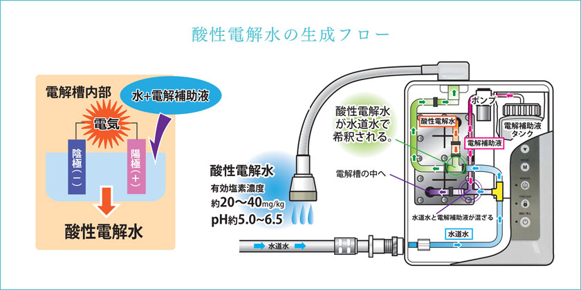 酸性電解水の生成フロー